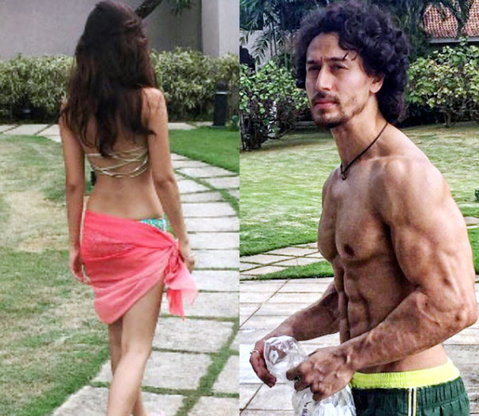 tiger and disha